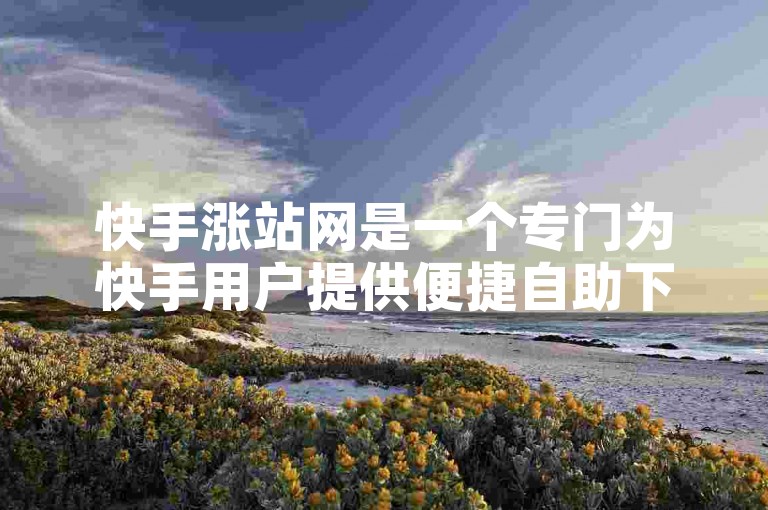 快手涨站网是一个专门为快手用户提供便捷自助下单服务的平台。