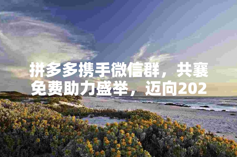 拼多多携手微信群，共襄免费助力盛举，迈向2025新辉煌。