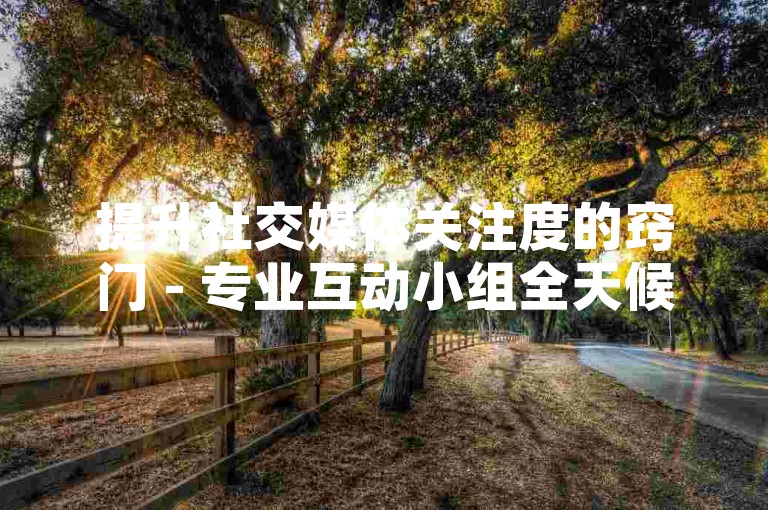 提升社交媒体关注度的窍门 - 专业互动小组全天候待命