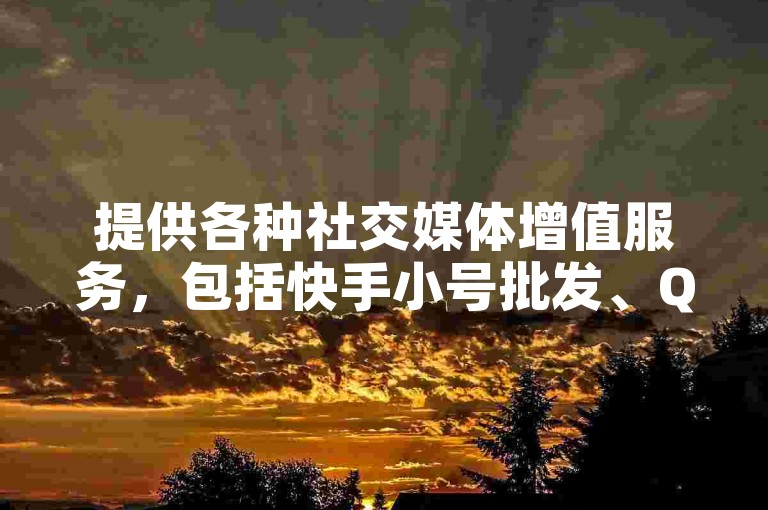 提供各种社交媒体增值服务，包括快手小号批发、QQ秒赞以及B站播放量和抖音点赞，全天候在线服务。