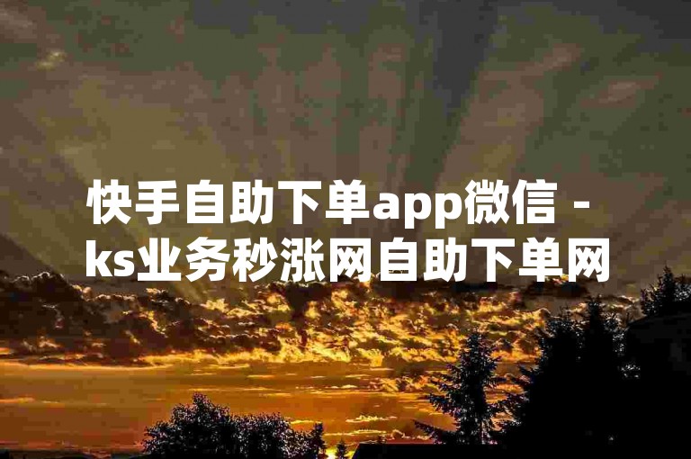 快手自助下单app微信 - ks业务秒涨网自助下单网站，这是一个方便快捷的在线服务平台。