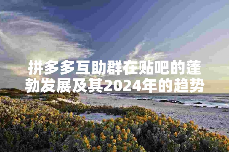 拼多多互助群在贴吧的蓬勃发展及其2024年的趋势预测。