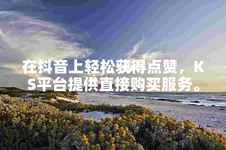 在抖音上轻松获得点赞，KS平台提供直接购买服务。
