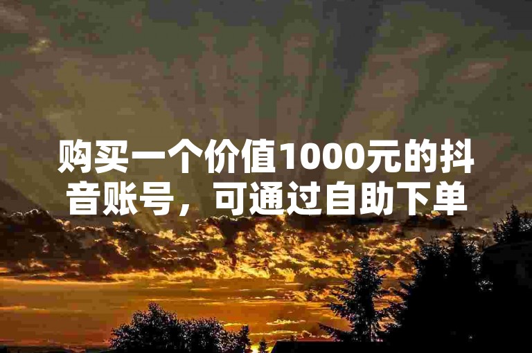 购买一个价值1000元的抖音账号，可通过自助下单的卡网进行操作。