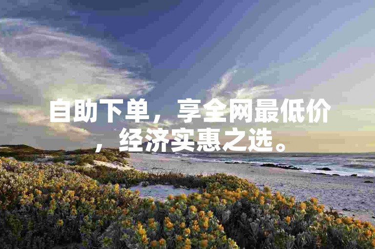 自助下单，享全网最低价，经济实惠之选。