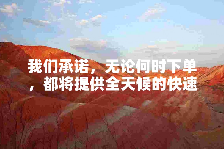 我们承诺，无论何时下单，都将提供全天候的快速、便捷且高效的业务处理服务。