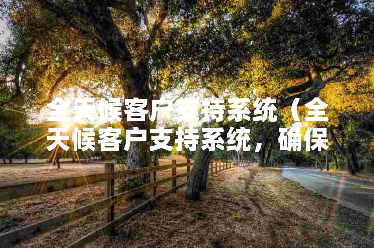 全天候客户支持系统（全天候客户支持系统，确保您随时获得帮助）