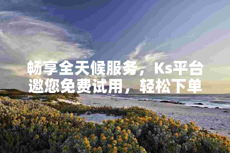 畅享全天候服务，Ks平台邀您免费试用，轻松下单，随时待命，尽享便捷体验！