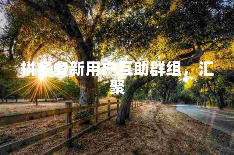 拼多多新用户互助群组，汇聚500位活跃成员，助力活动火热进行中。
