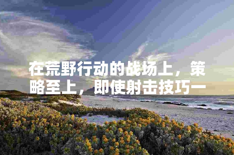 在荒野行动的战场上，策略至上，即使射击技巧一般，也能凭借精妙的跑毒战术赢得胜利！