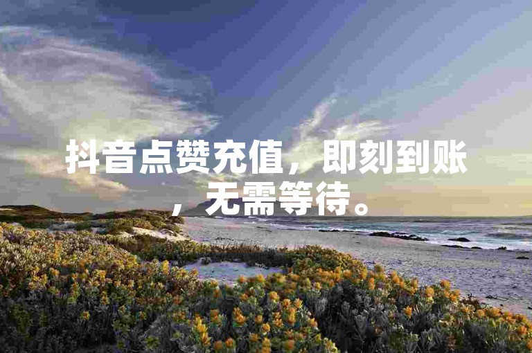 抖音点赞充值，即刻到账，无需等待。
