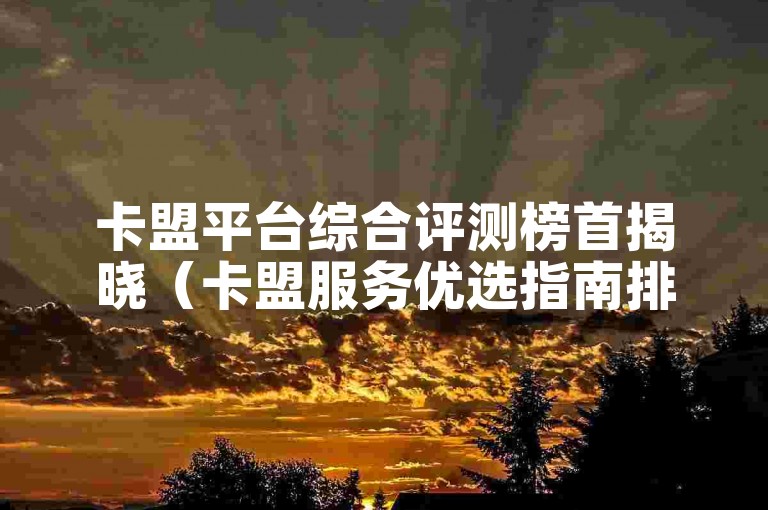卡盟平台综合评测榜首揭晓（卡盟服务优选指南排名第一深度解析）