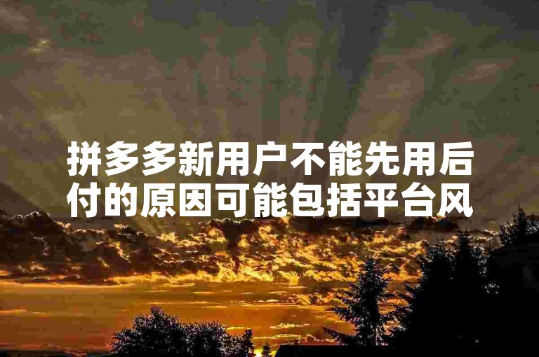 拼多多新用户不能先用后付的原因可能包括平台风险控制、信用评估不足或是为了推广特定的支付方式。