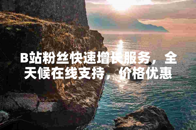 B站粉丝快速增长服务，全天候在线支持，价格优惠。