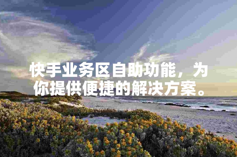 快手业务区自助功能，为你提供便捷的解决方案。