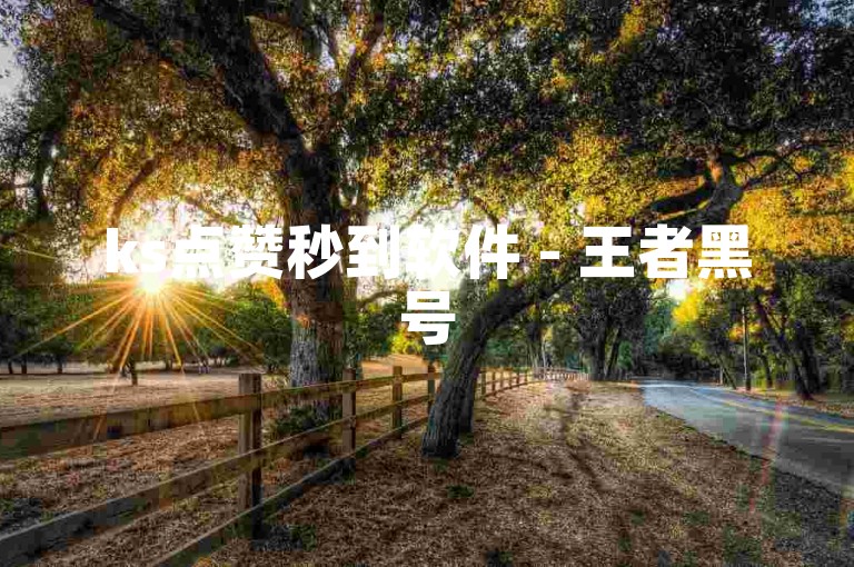 ks点赞秒到软件 - 王者黑号