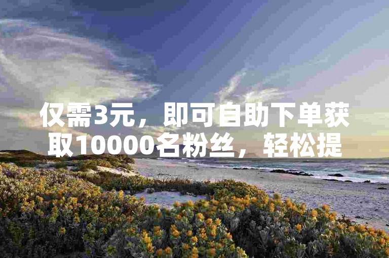 仅需3元，即可自助下单获取10000名粉丝，轻松提升人气。