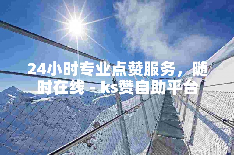 24小时专业点赞服务，随时在线 - ks赞自助平台