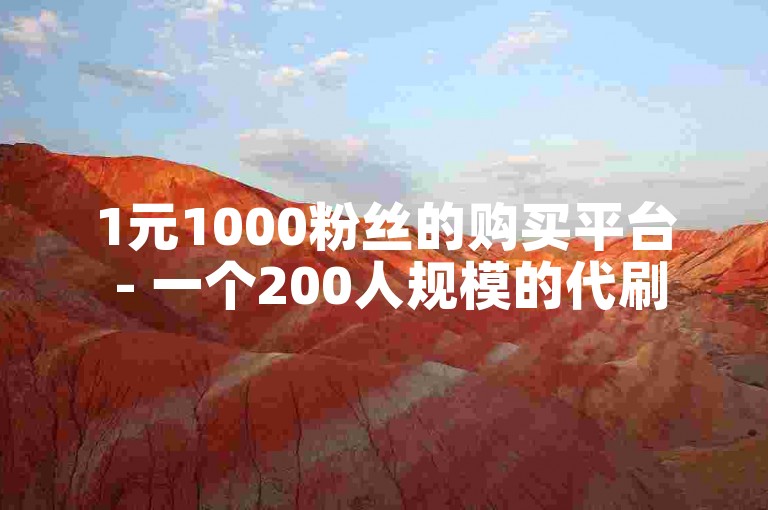 1元1000粉丝的购买平台 - 一个200人规模的代刷服务网站。