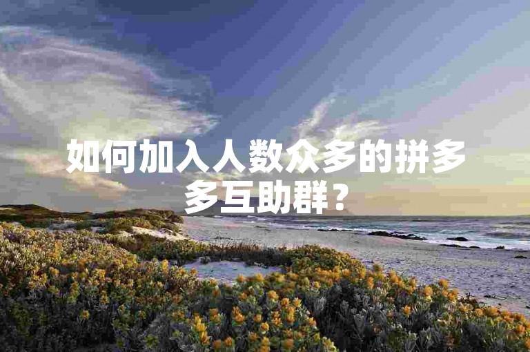 如何加入人数众多的拼多多互助群？