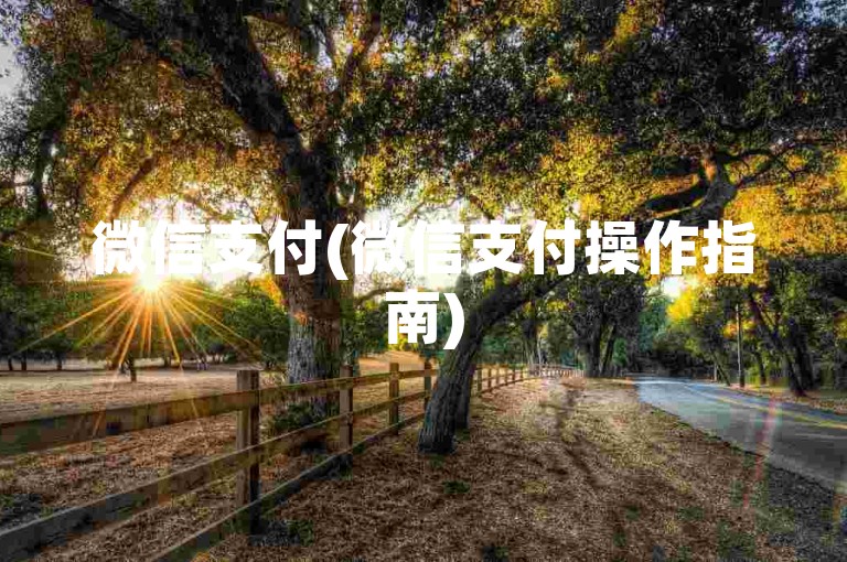 微信支付(微信支付操作指南)