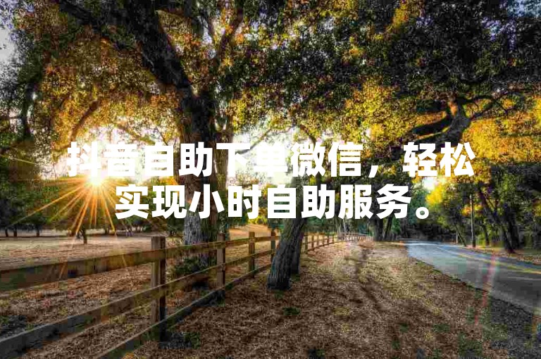 抖音自助下单微信，轻松实现小时自助服务。