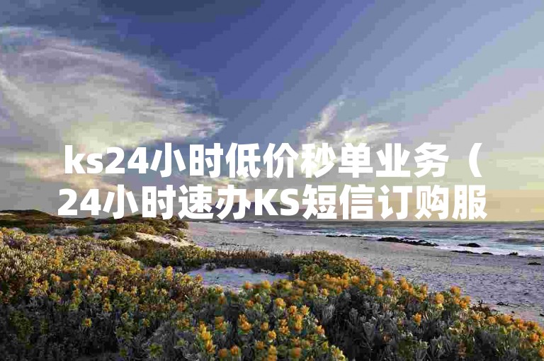ks24小时低价秒单业务（24小时速办KS短信订购服务）