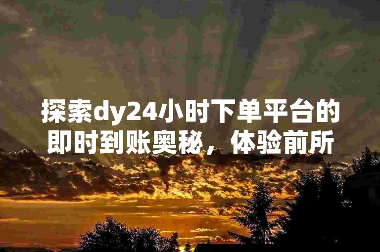 探索dy24小时下单平台的即时到账奥秘，体验前所未有的快速服务。