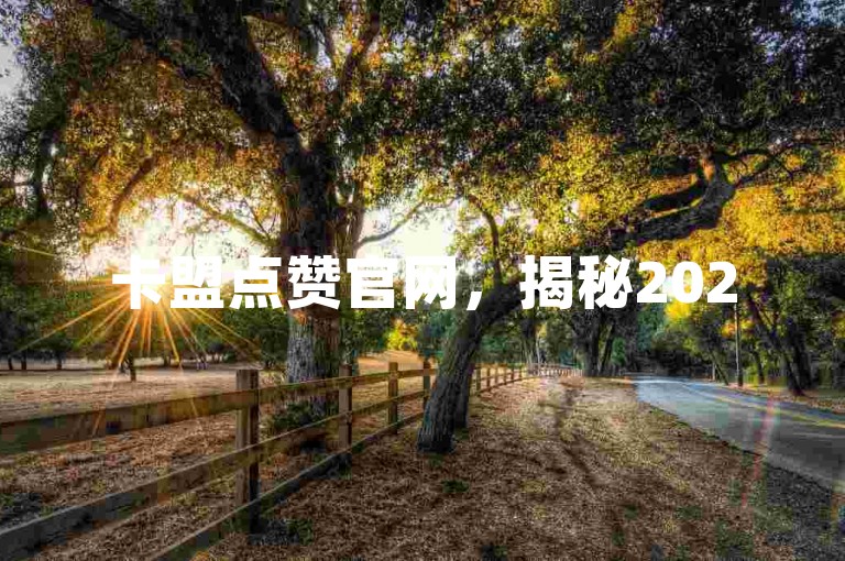 卡盟点赞官网，揭秘2025年网站增长的必备策略，让您的业务飞速前进！