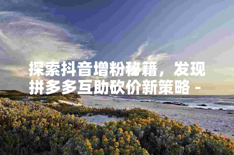 探索抖音增粉秘籍，发现拼多多互助砍价新策略 - 彩虹云商城提供一站式解决方案。
