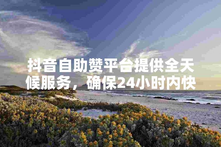 抖音自助赞平台提供全天候服务，确保24小时内快速发货。