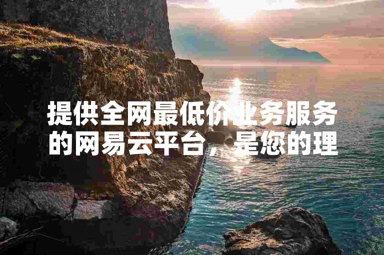 提供全网最低价业务服务的网易云平台，是您的理想选择。