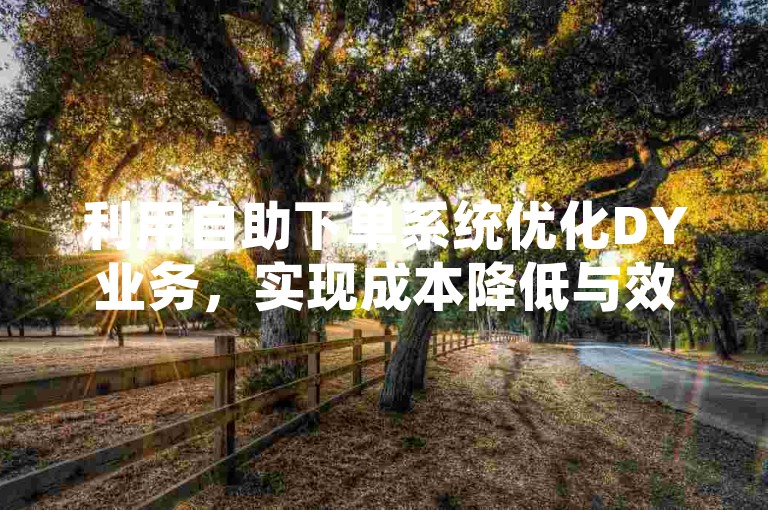 利用自助下单系统优化DY业务，实现成本降低与效率提升。