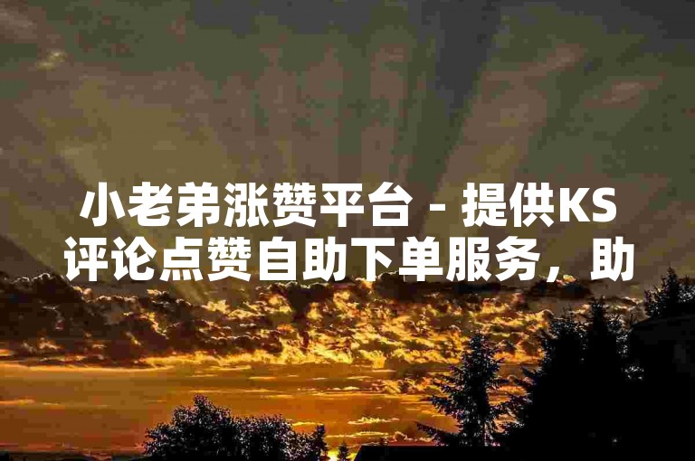 小老弟涨赞平台 - 提供KS评论点赞自助下单服务，助力你的视频热度飙升。