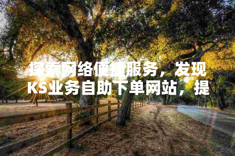 探索网络便捷服务，发现KS业务自助下单网站，提供最低价的KS赞自助下单平台软件。