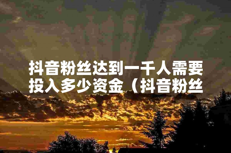 抖音粉丝达到一千人需要投入多少资金（抖音粉丝1k的花费是多少）。