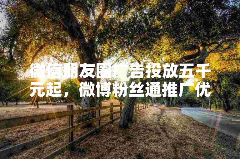 微信朋友圈广告投放五千元起，微博粉丝通推广优惠价十元一万曝光 - 电商直播带货平台 - B站大会员充值折扣活动详情。