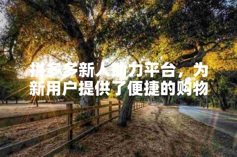 拼多多新人助力平台，为新用户提供了便捷的购物体验和丰富的优惠活动。