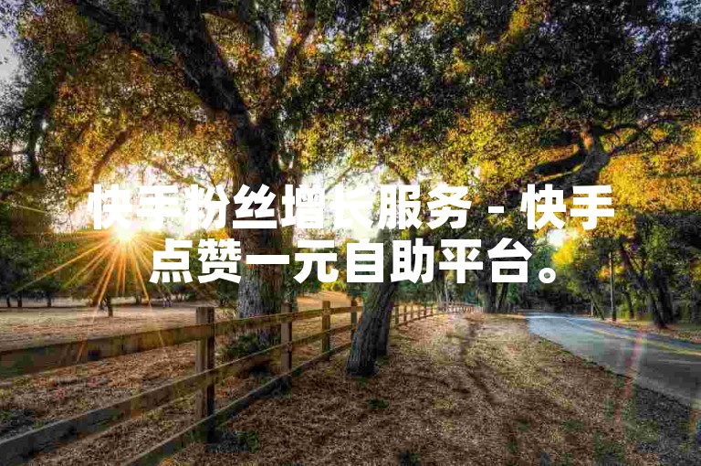 快手粉丝增长服务 - 快手点赞一元自助平台。