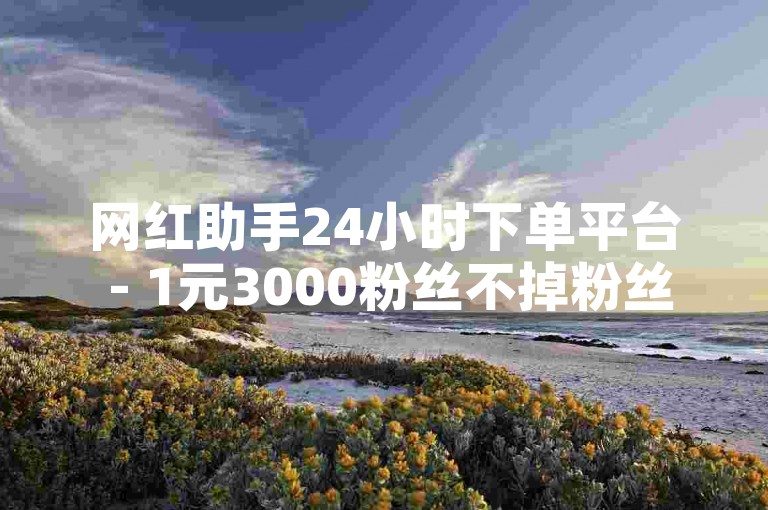 网红助手24小时下单平台 - 1元3000粉丝不掉粉丝怎么弄