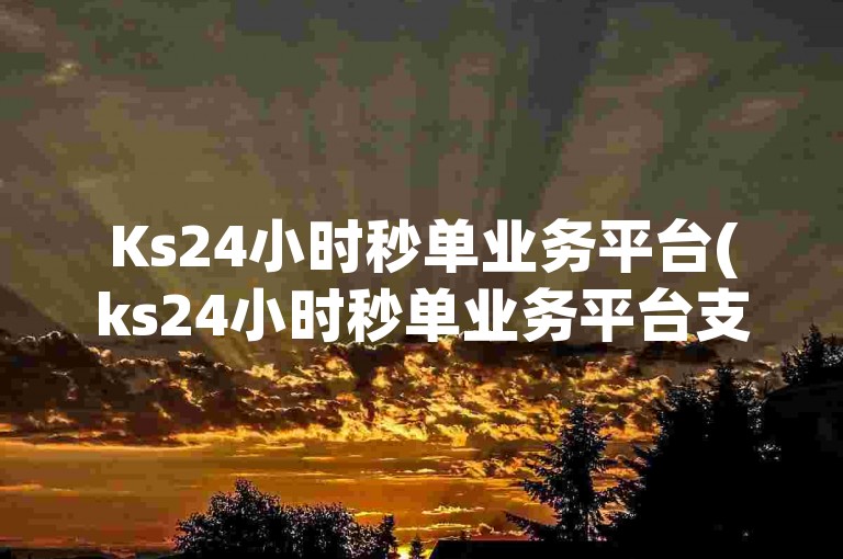 Ks24小时秒单业务平台(ks24小时秒单业务平台支持微信支付)