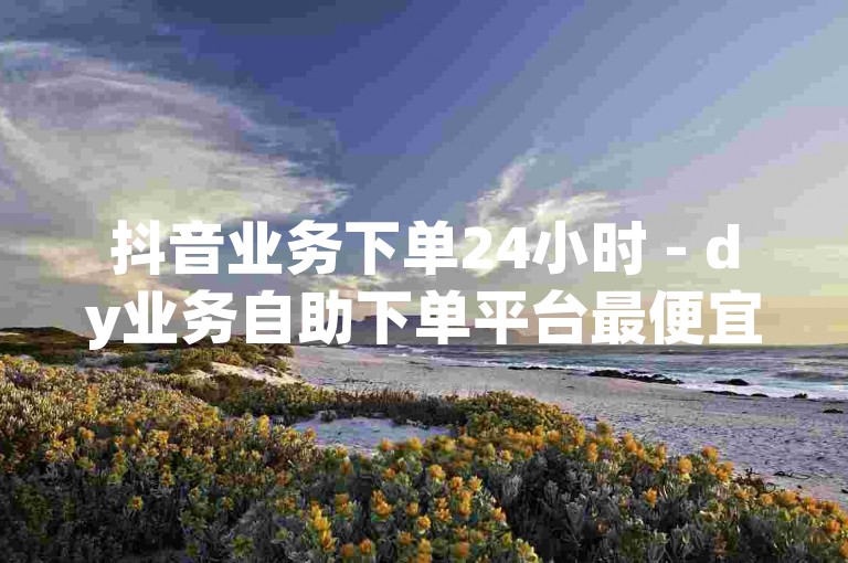 抖音业务下单24小时 - dy业务自助下单平台最便宜，欢迎随时使用。