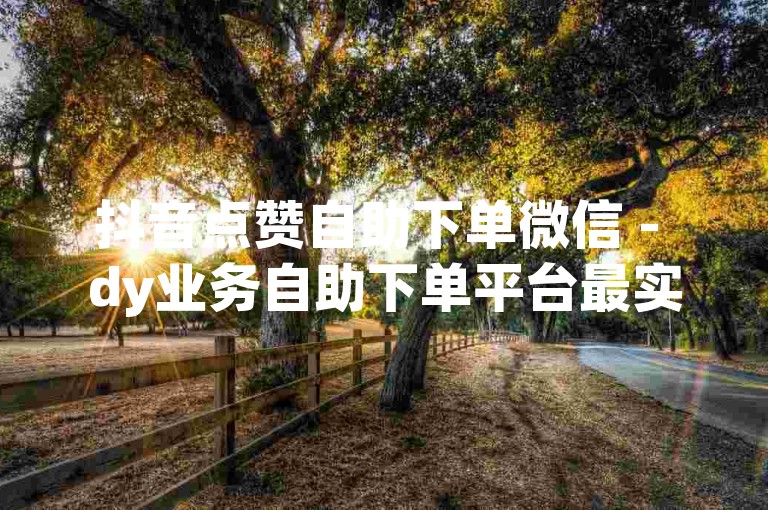 抖音点赞自助下单微信 - dy业务自助下单平台最实惠