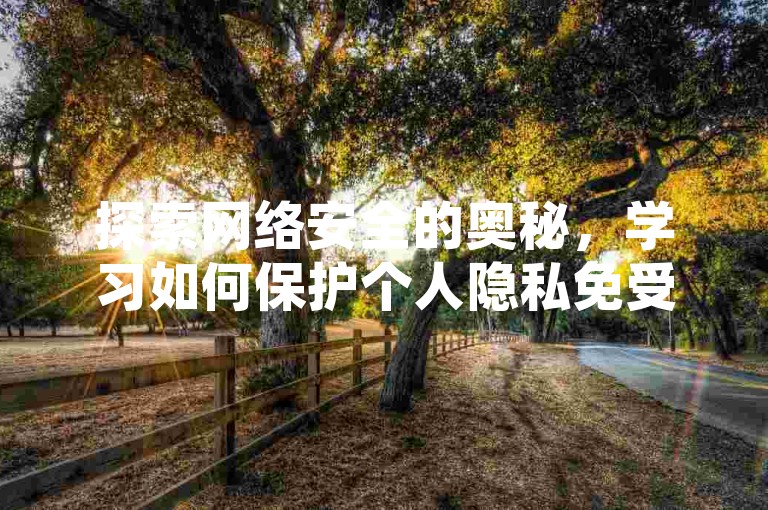 探索网络安全的奥秘，学习如何保护个人隐私免受黑客侵扰，同时享受社交媒体带来的互动乐趣。
