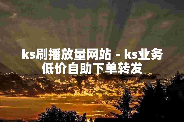 ks刷播放量网站 - ks业务低价自助下单转发