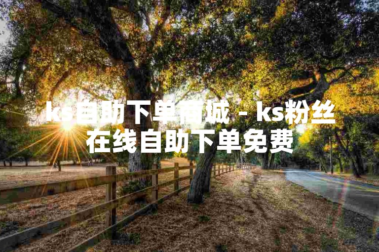 ks自助下单商城 - ks粉丝在线自助下单免费
