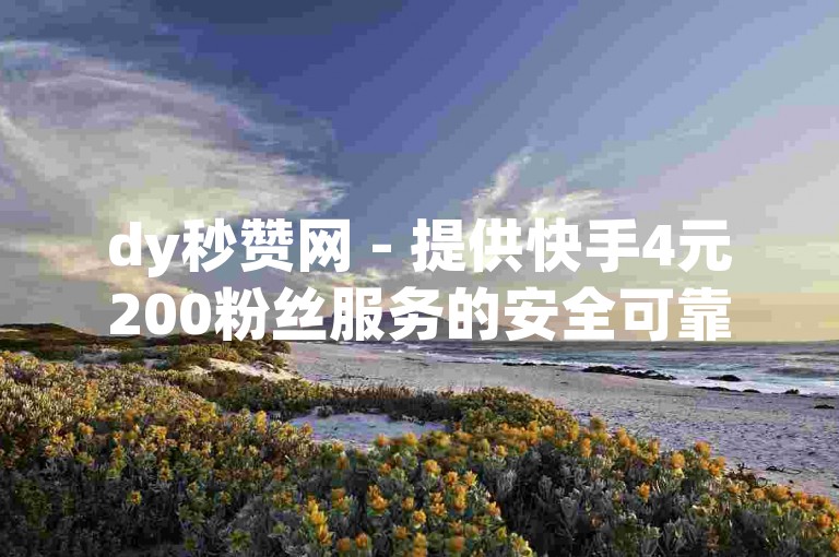 dy秒赞网 - 提供快手4元200粉丝服务的安全可靠平台。