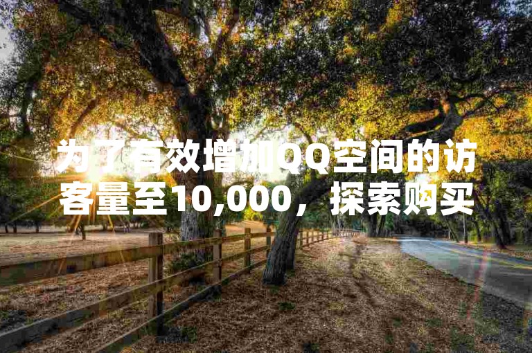 为了有效增加QQ空间的访客量至10,000，探索购买策略是关键步骤之一。