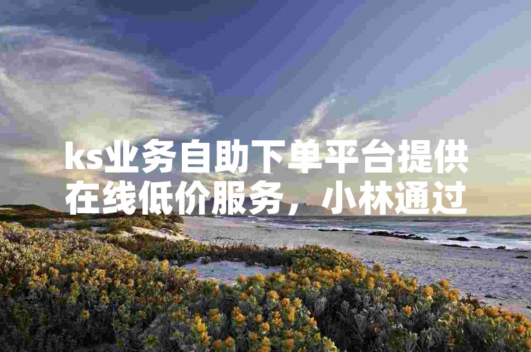 ks业务自助下单平台提供在线低价服务，小林通过涨赞链接获得了更多关注。