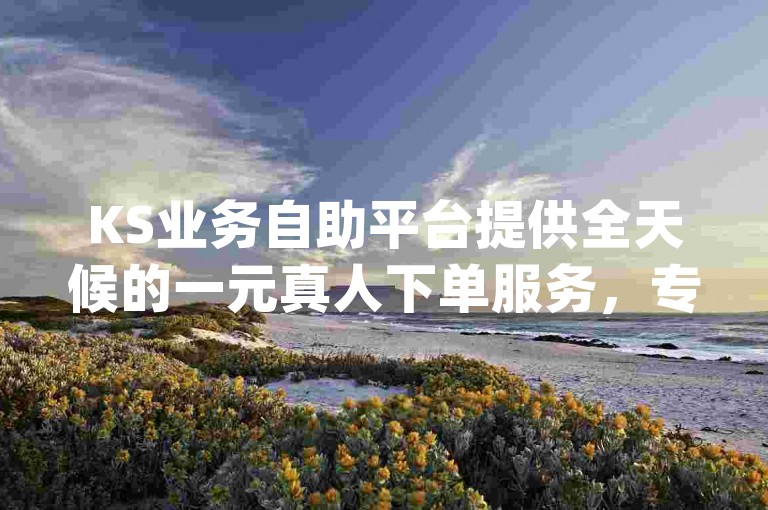 KS业务自助平台提供全天候的一元真人下单服务，专为dy业务设计的低价自助下单系统让操作变得轻松便捷。